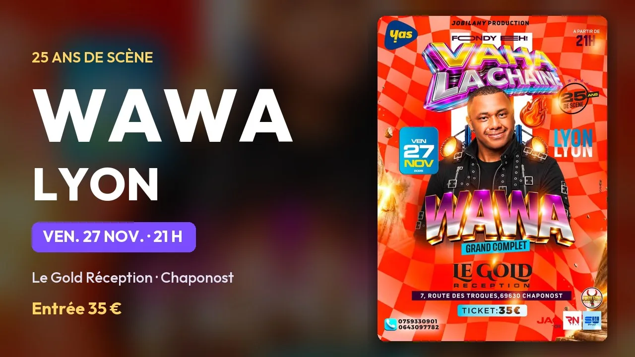 Wawa – 25 ans de scène · Lyon